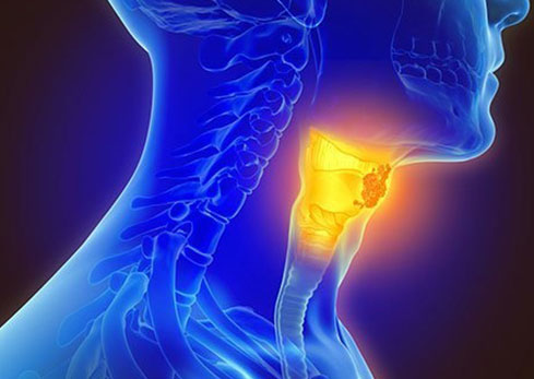 Microsurgery for ear and larynx - voice box